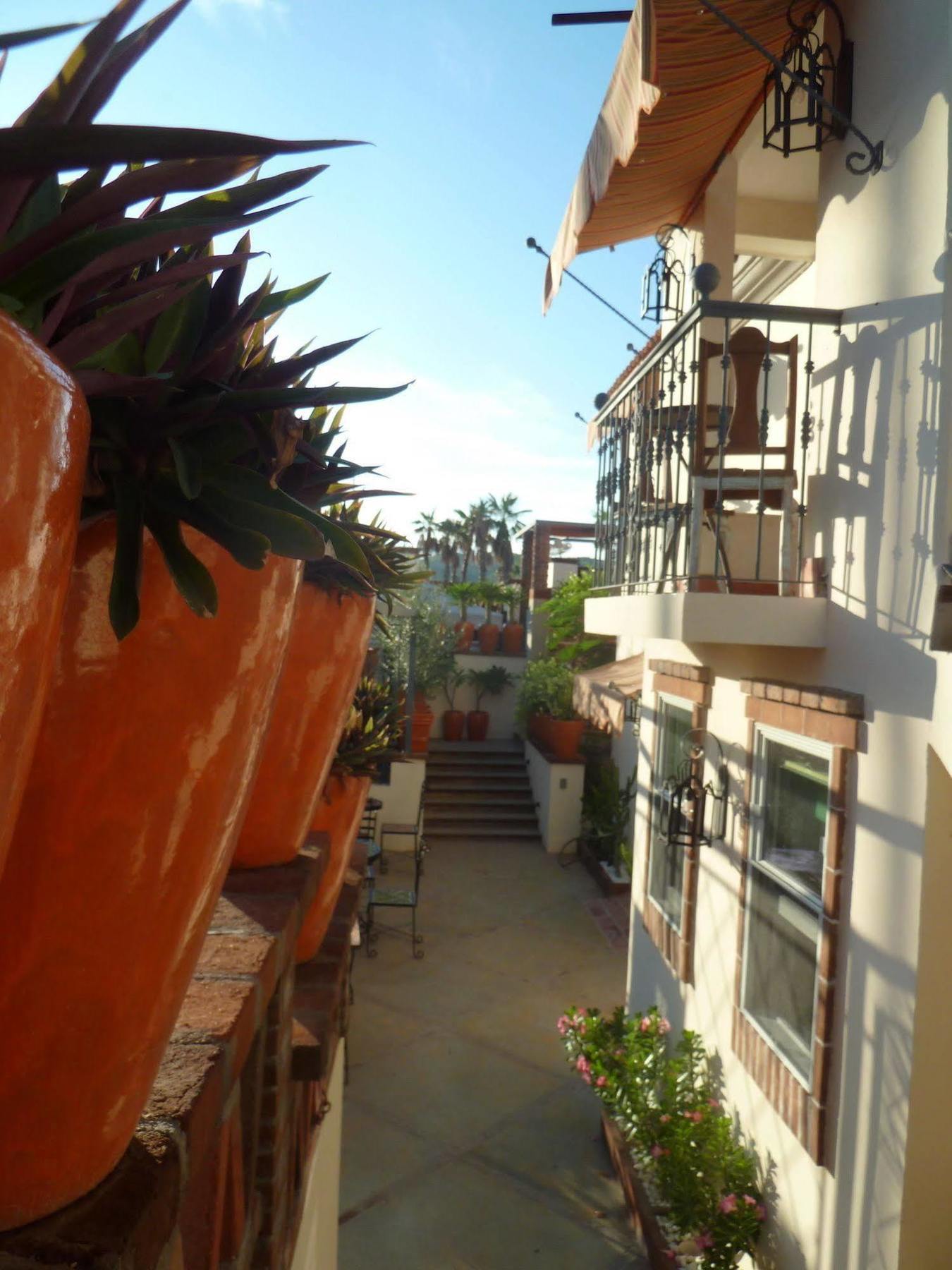 The Suites By Villa Valentina San José del Cabo Εξωτερικό φωτογραφία